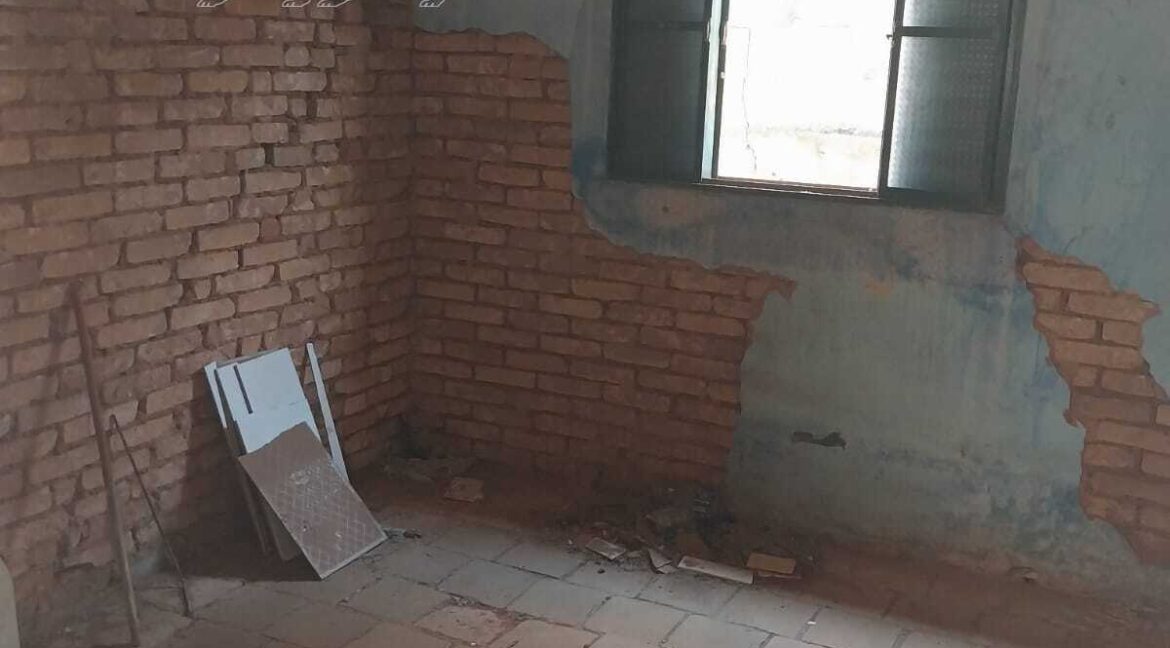 09e46ac8-667c-4204-ba21-f302b66315b2