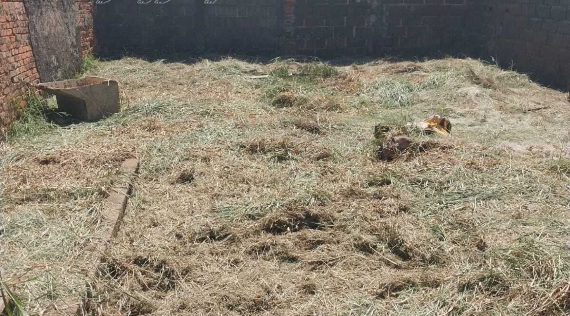 eb699808-52b7-4154-bf6c-0ba0d7c72983