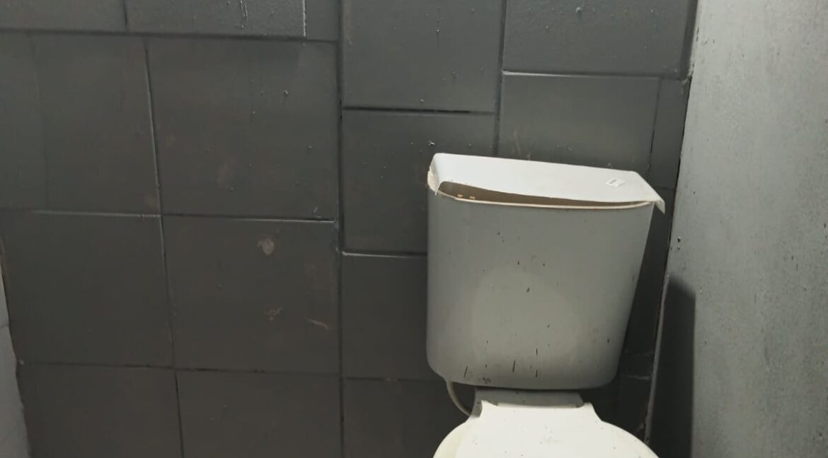 WhatsApp Image 2026-02-13 at 11.35.29 AM (1)