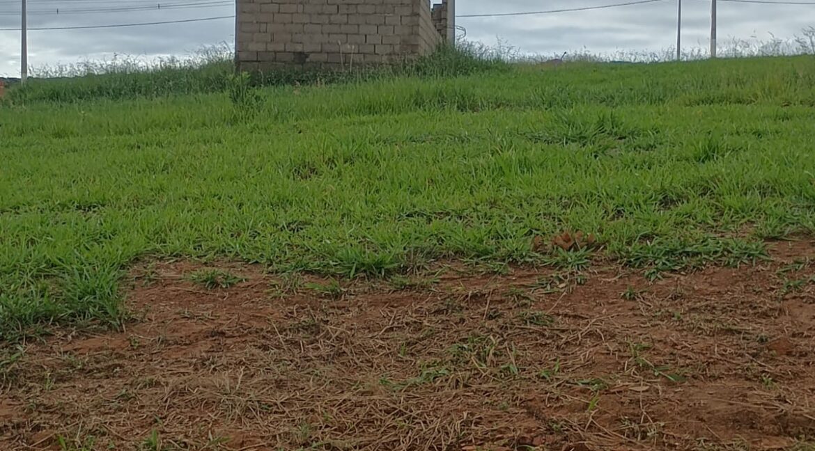 1f392cec-103c-43c3-a22a-4913490d1e2c