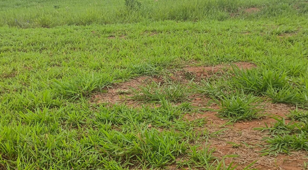 8802c710-64f4-4013-b73d-ae3814f3b66d